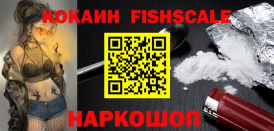 спиды Камышлов