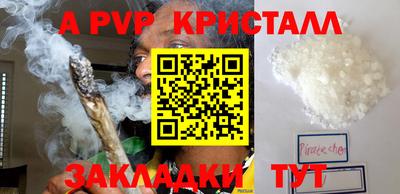 спиды Камышлов