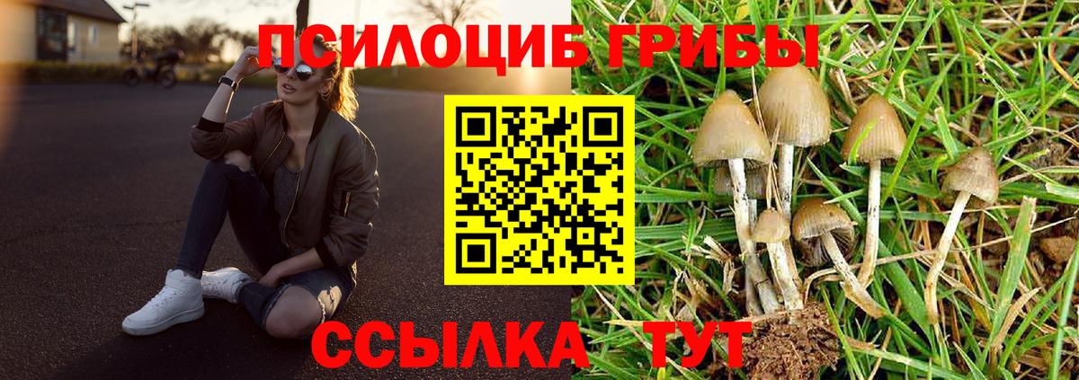 Галлюциногенные грибы Psilocybine cubensis  Галлюциногенные грибы Magic Shrooms  Вход с VPN  Ухта 