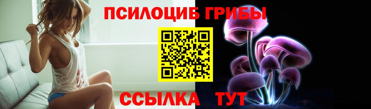 Галлюциногенные грибы Psilocybine cubensis Ухта